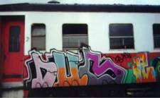 dubdsa_train1sm.jpg