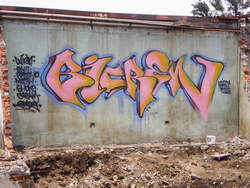 costa_rica_brigada_ilegal_crew1x.jpg